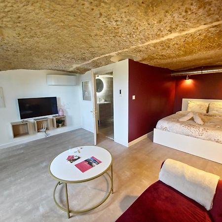 Apartament Le Cocon Troglodyte Saint-Étienne-de-Chigny Zewnętrze zdjęcie